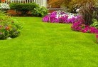 Paradise NSWlawn-and-turf-35.jpg; ?>